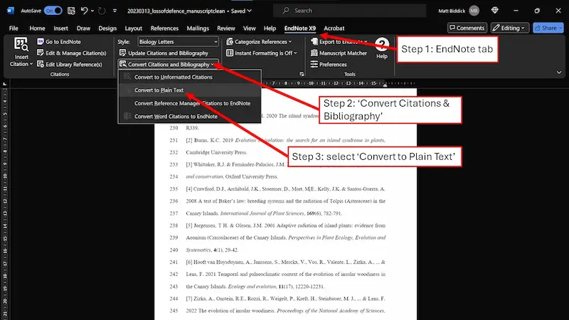 how to convert references to plain text in endnote