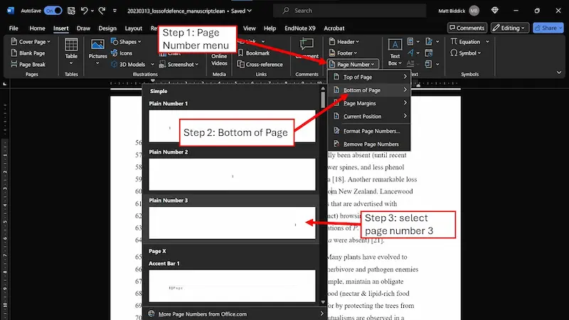 how to add page numbers in microsoft word