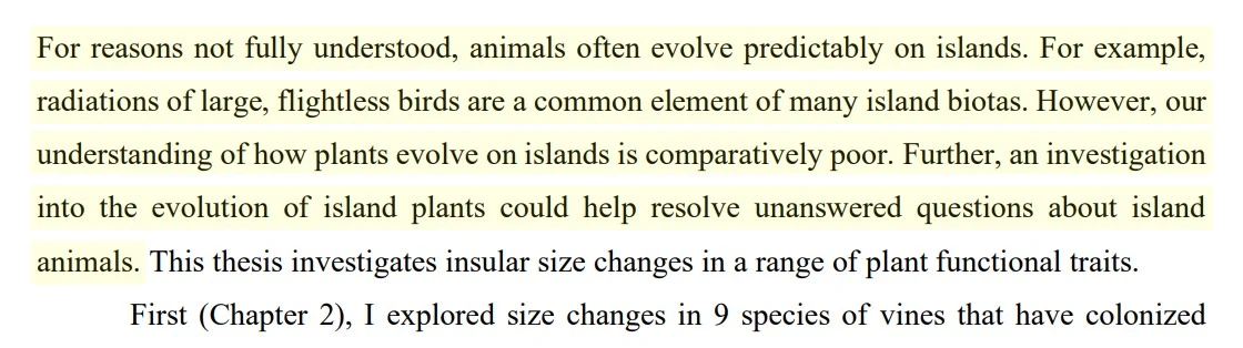 example background sentence thesis abstract