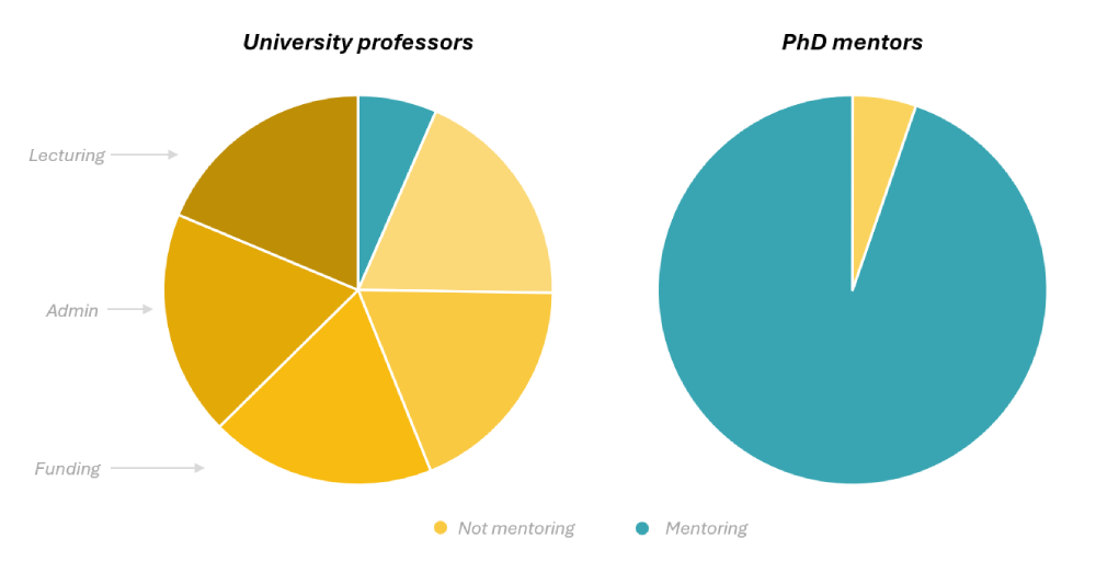 university supervisor vs phd mentor workloads